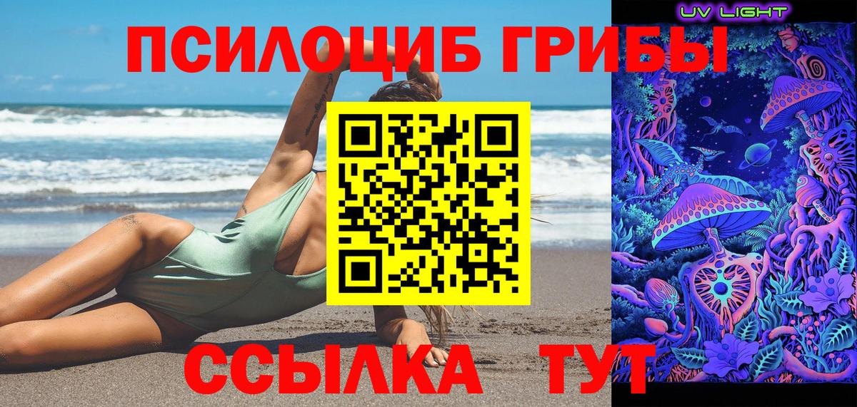 Новомосковск  Галлюциногенные грибы Psilocybine cubensis  Вход с VPN 